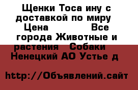 Щенки Тоса-ину с доставкой по миру › Цена ­ 68 000 - Все города Животные и растения » Собаки   . Ненецкий АО,Устье д.